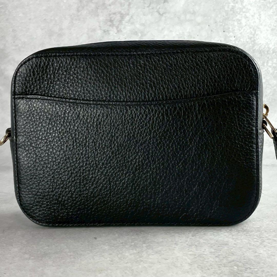 ✨稀少✨美品✨コーチ　ダイアリー　カメラバッグ 2way 刺繍　レザー　ブラック