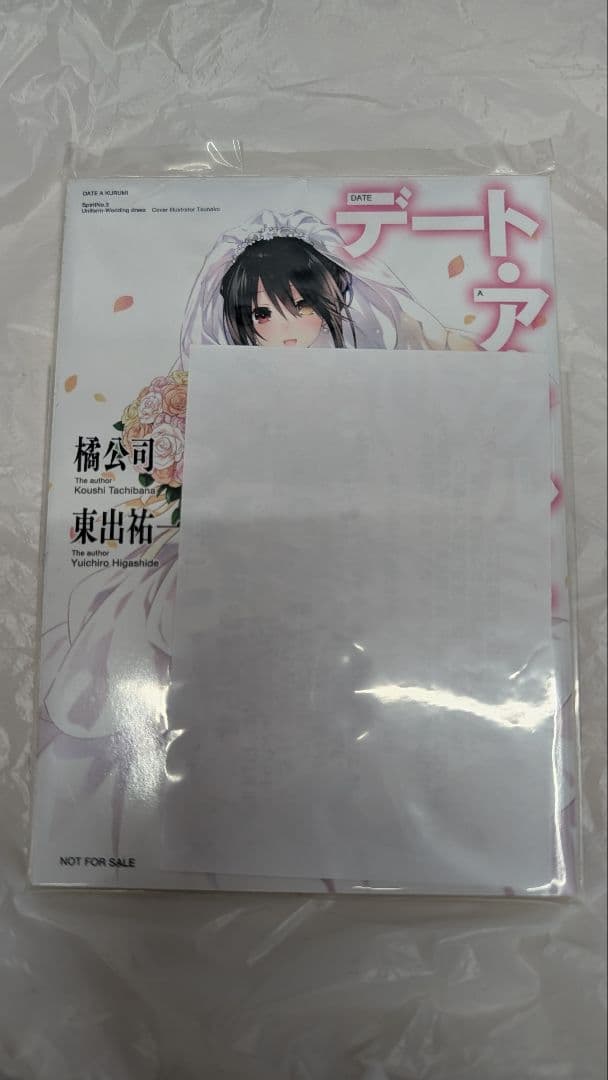 デート・ア・ライブ 時崎狂三 デート・ア・クルミ 当選 小説