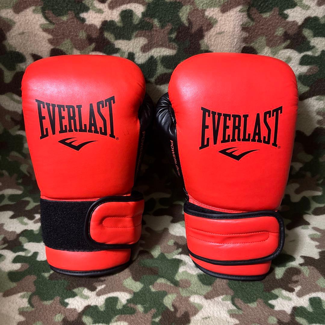 EVERLAST エバーラスト　グローブ　16oz 送料無料