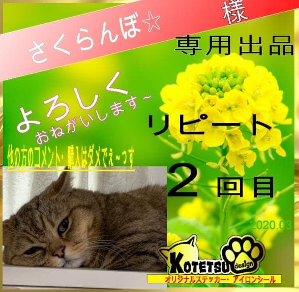 さくらんぼ✩さま　専用　アイロンシール