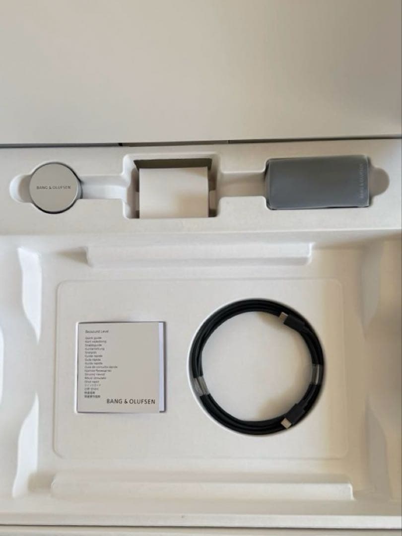 【美品】Bang & Olufsen Beosound Level