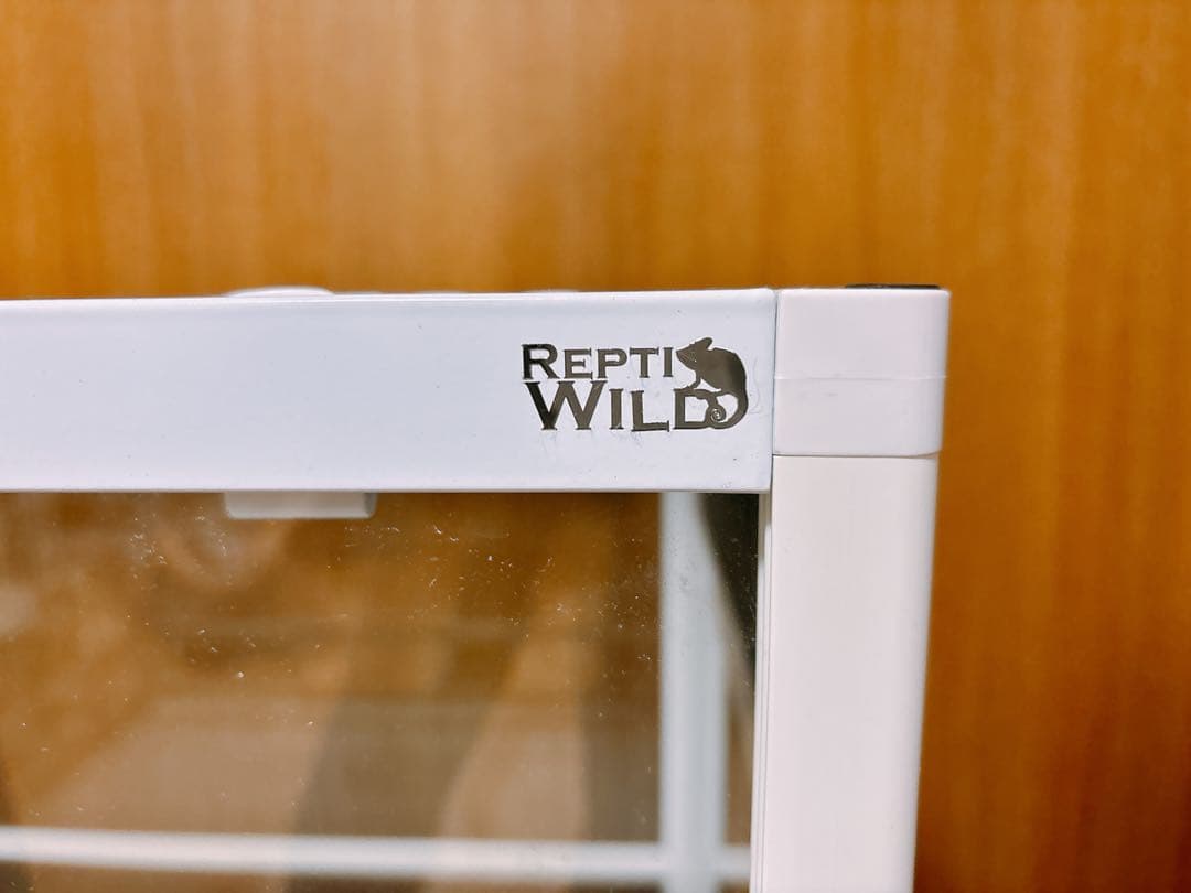 【専用】パンテオン　WH6045：中型 飼育ケージ 鍵付き ガラス