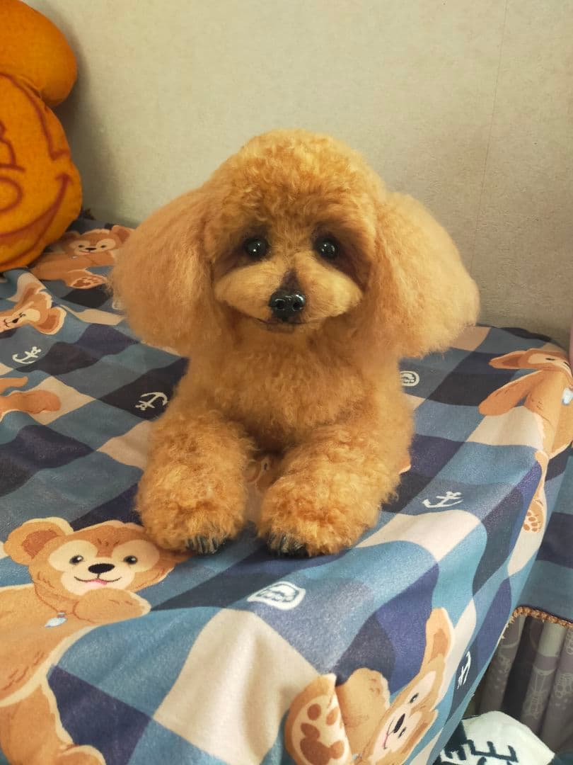 カズオーダー♡実物大