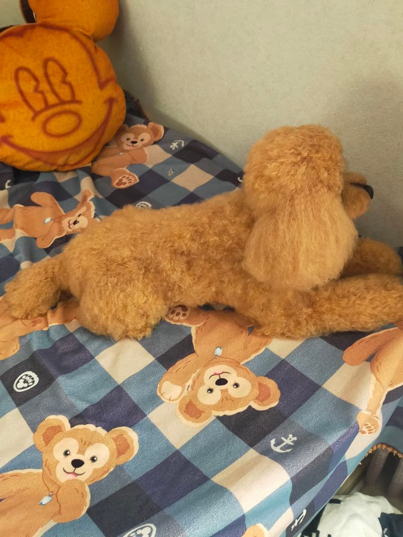 カズオーダー♡実物大