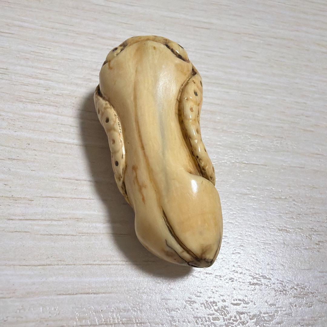 根付 イカ （恐らく） 江戸期 netsuke