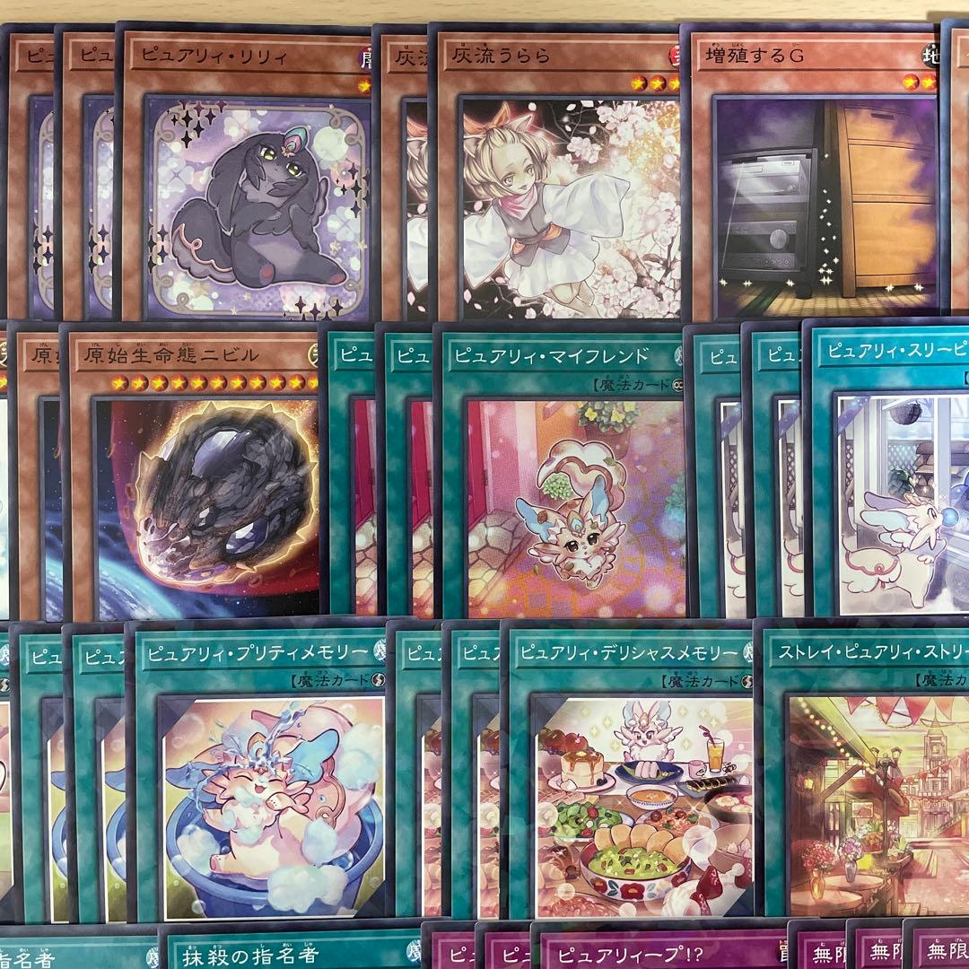 優勝構築 ピュアリィデッキ マイフレンド ノアール ビューティ プランプ