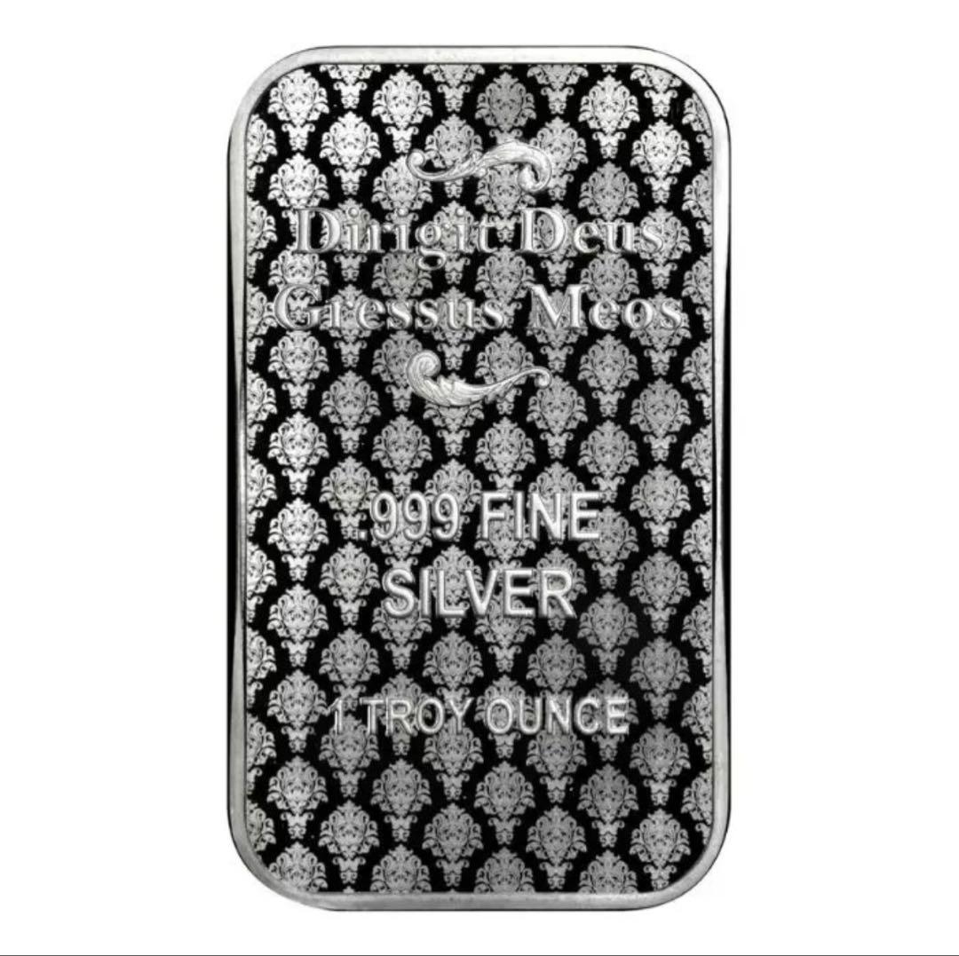 2024年 アメリカ「ウナとライオン」純銀 1オンス バー