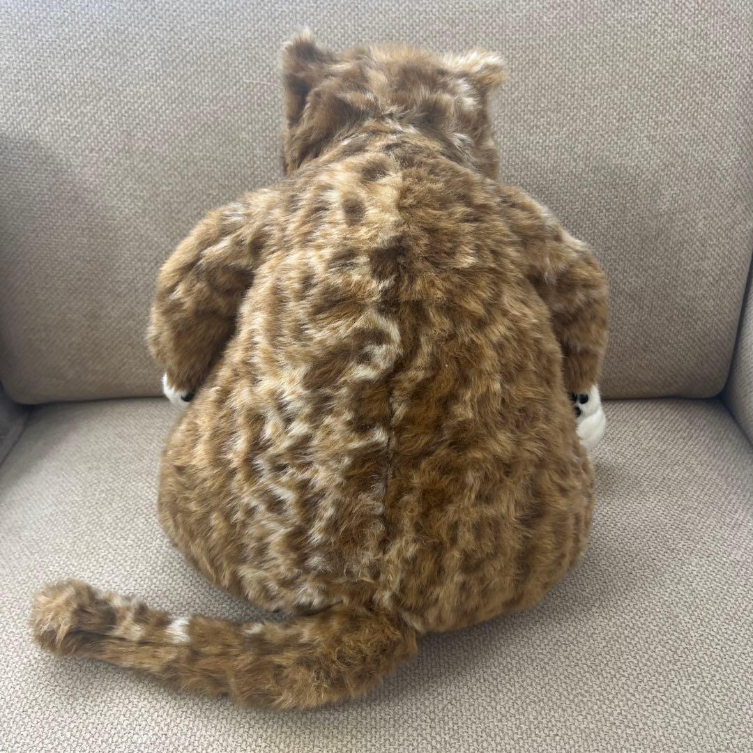 カドリー猫　ムッシュ cuddly cat