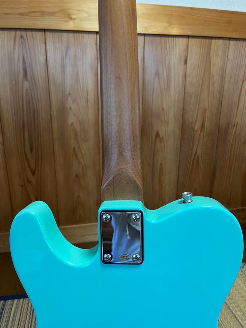 ギター Bacchus BTE-1-RSM SFG