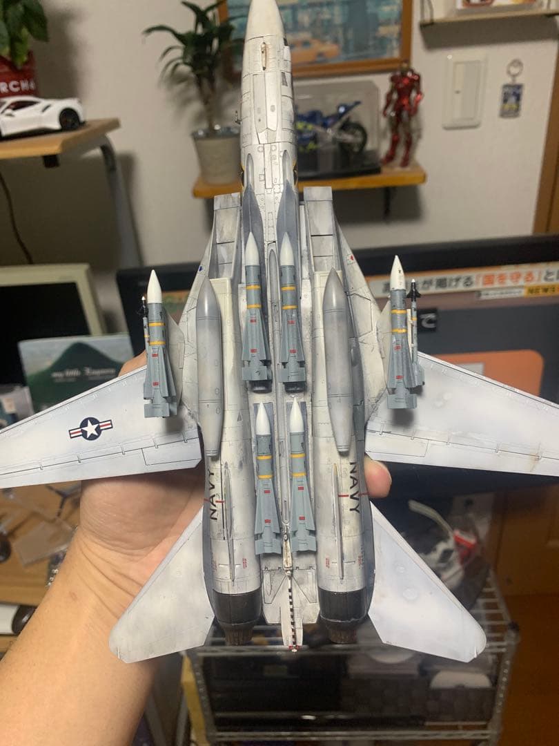 ホビー・楽器・アート F-14A TOMCAT Jolly Rogers