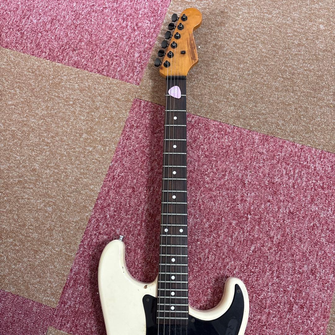 フェルナンデス　アラン・ホールズワース　モデル