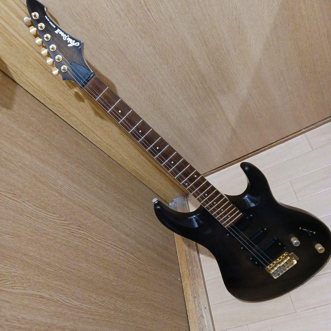 エレキギター＆ギグバッグ