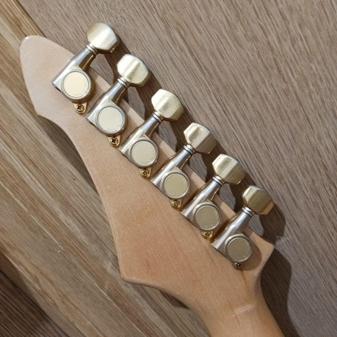 エレキギター＆ギグバッグ