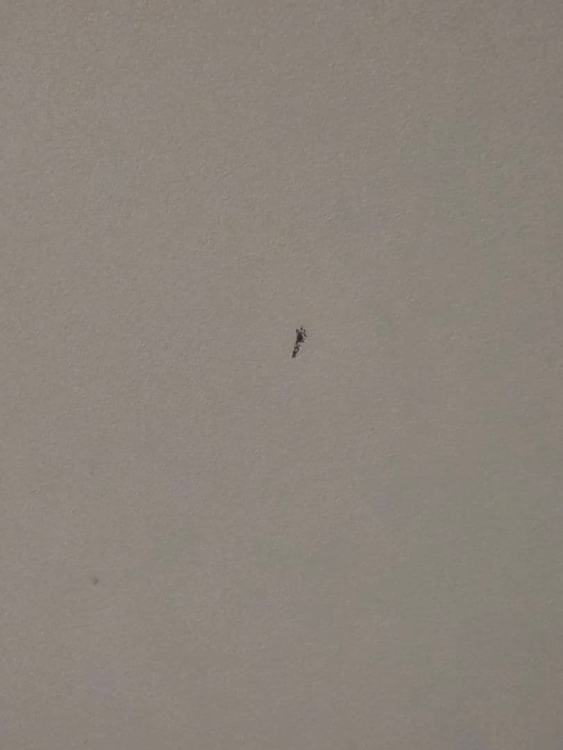 Panasonic 156L 2ドア冷蔵庫 NR-B16C1-W 2023年