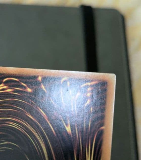 遊戯王、繁体字、中国版、偽骸神龍、ハートアースドラゴン、シク、シークレットレア