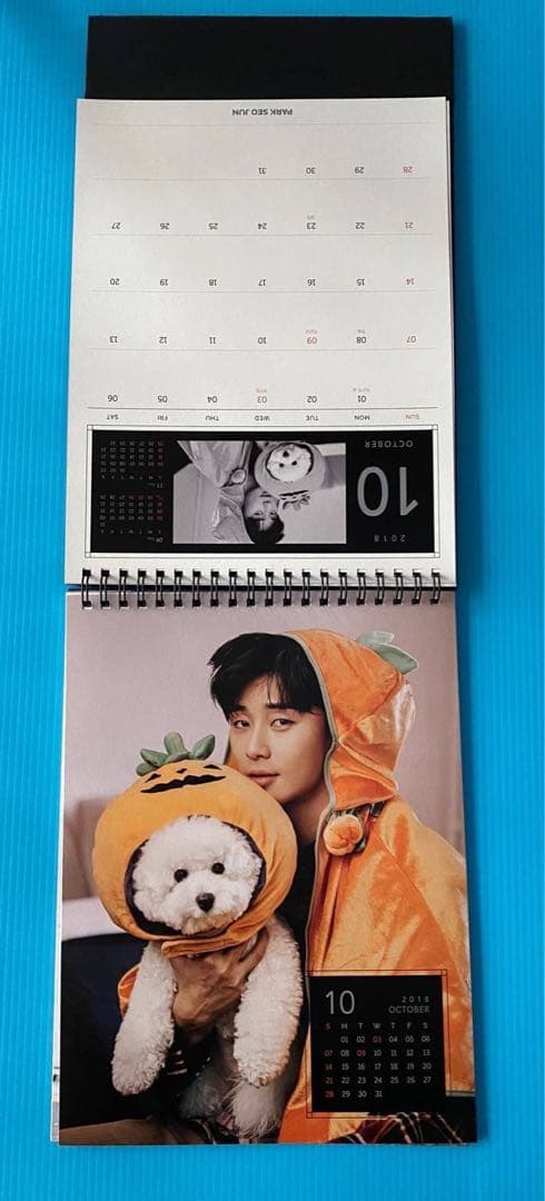 パク・ソジュン 2018年公式卓上カレンダー& DVD(絶版）