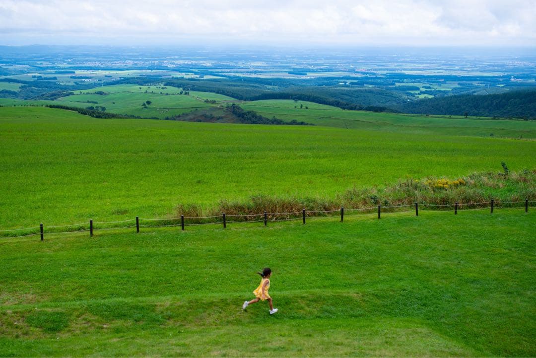 SIGMA 35mm F1.4 DG HSM Art PENTAX Kマウント