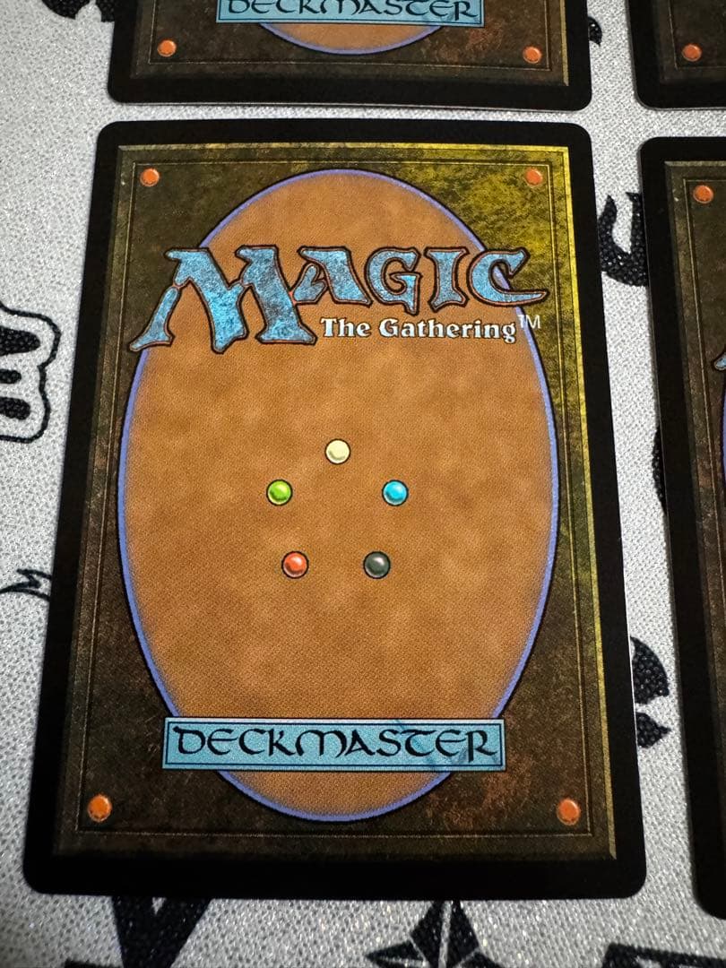 4枚セット 湿地の干潟 foil 英語