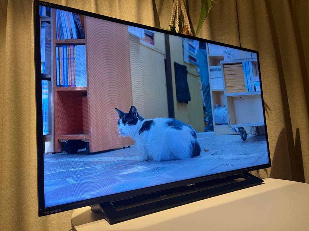 液晶テレビ TOSHIBAレグザ REGZA 40S22 40インチ