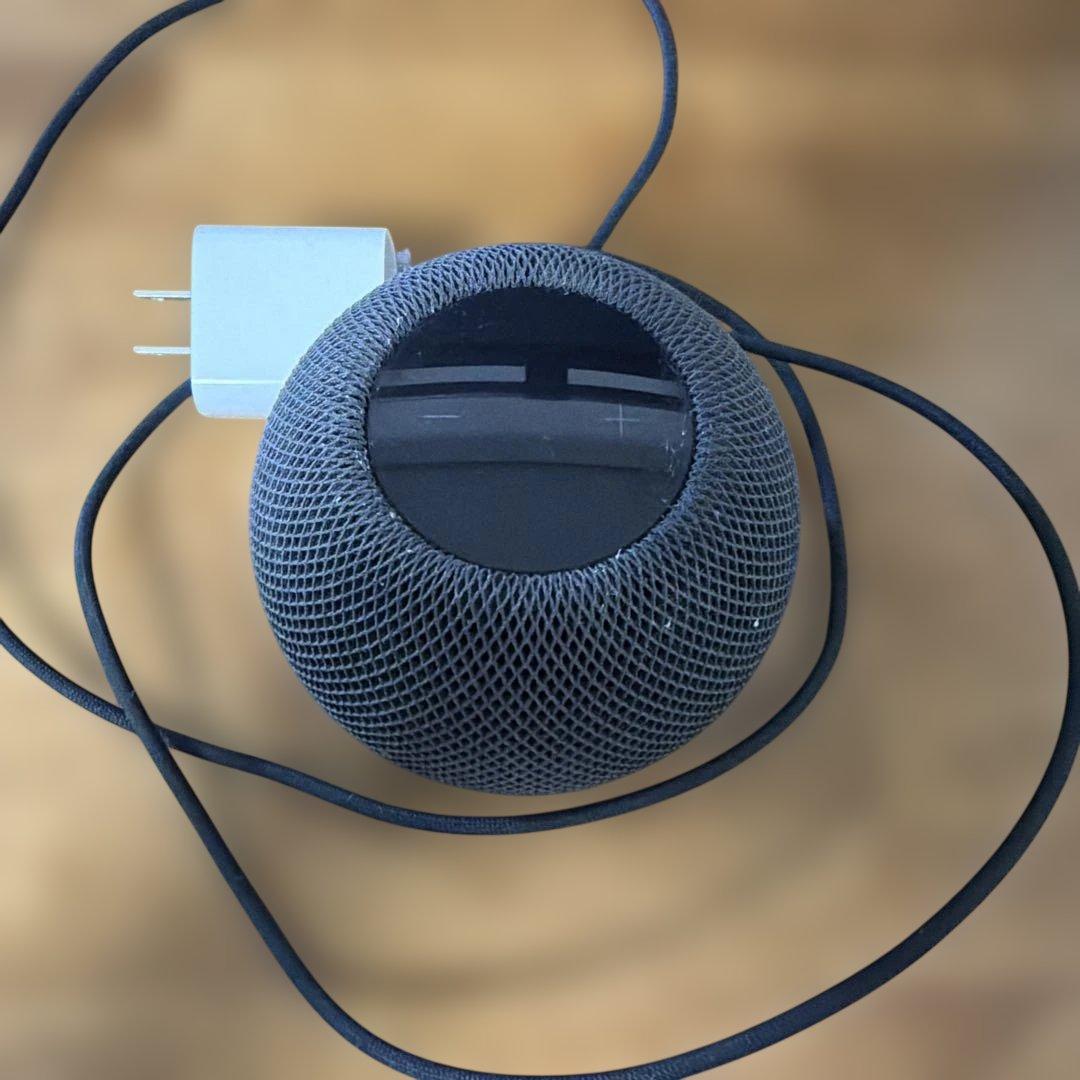  pod mini スペースグレイ２個