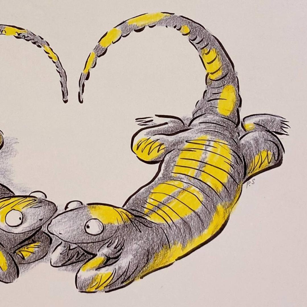 ポージーシモンズ、【そして数ヶ月後】、希少な額装用画集より、新品額装付