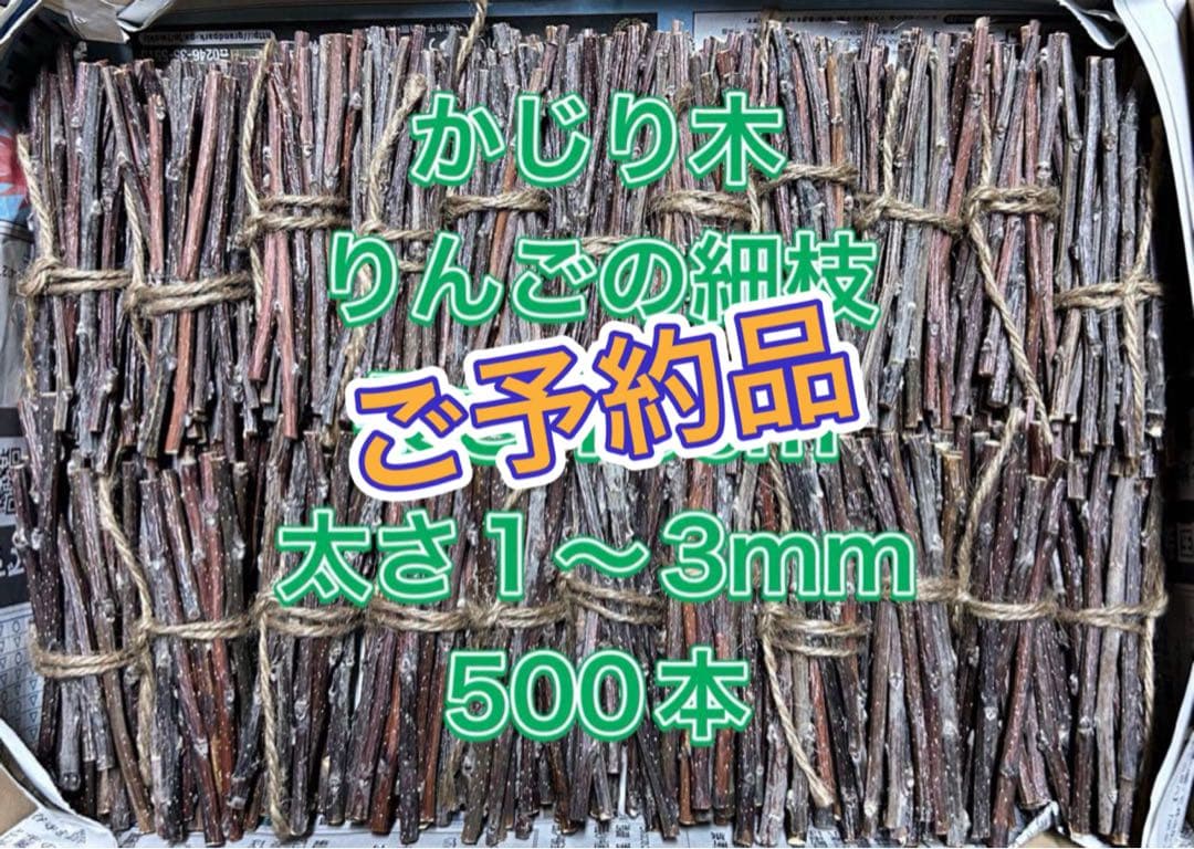 ニャンコノフグリ様　ご予約品　かじり木　りんごの細枝　太さ1〜3mm 500本