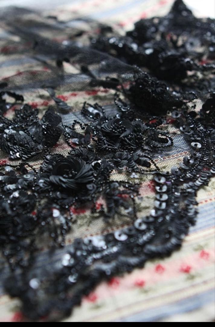 フランスアンティーク　オートクチュール刺繍 リュネビル刺繍　ピース　希少