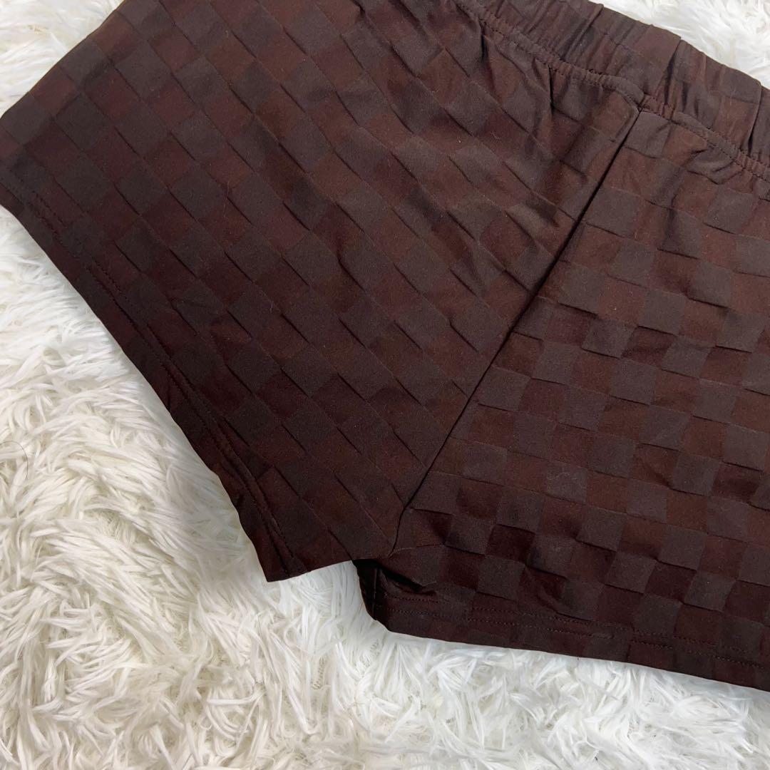 新品未使用タグ付き ルイヴィトン ダミエ スイムパンツ メンズ 水着