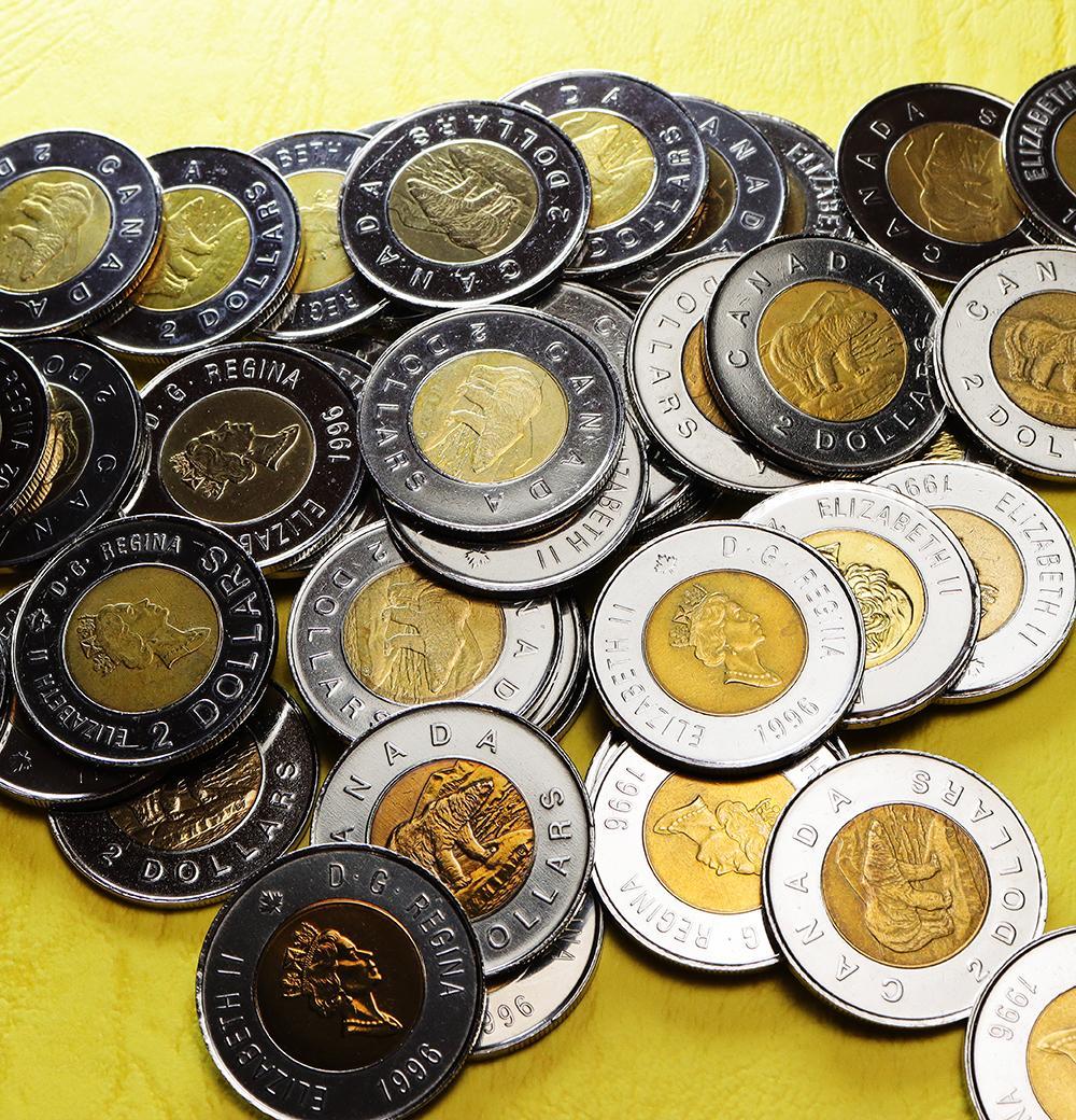 a317 カナダ　2ドル　　硬貨　北極熊　エリザベス女王　52枚　まとめて