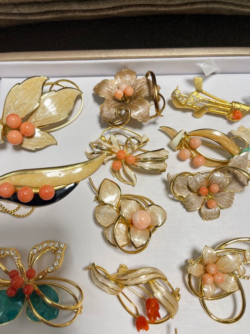 珊瑚プローチまとめ（19）