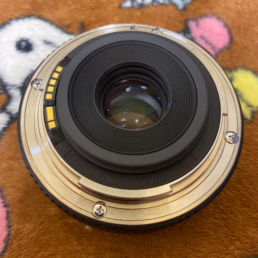 CANON 単焦点レンズ EF-S 24mm 1:2.8 STM レンズ