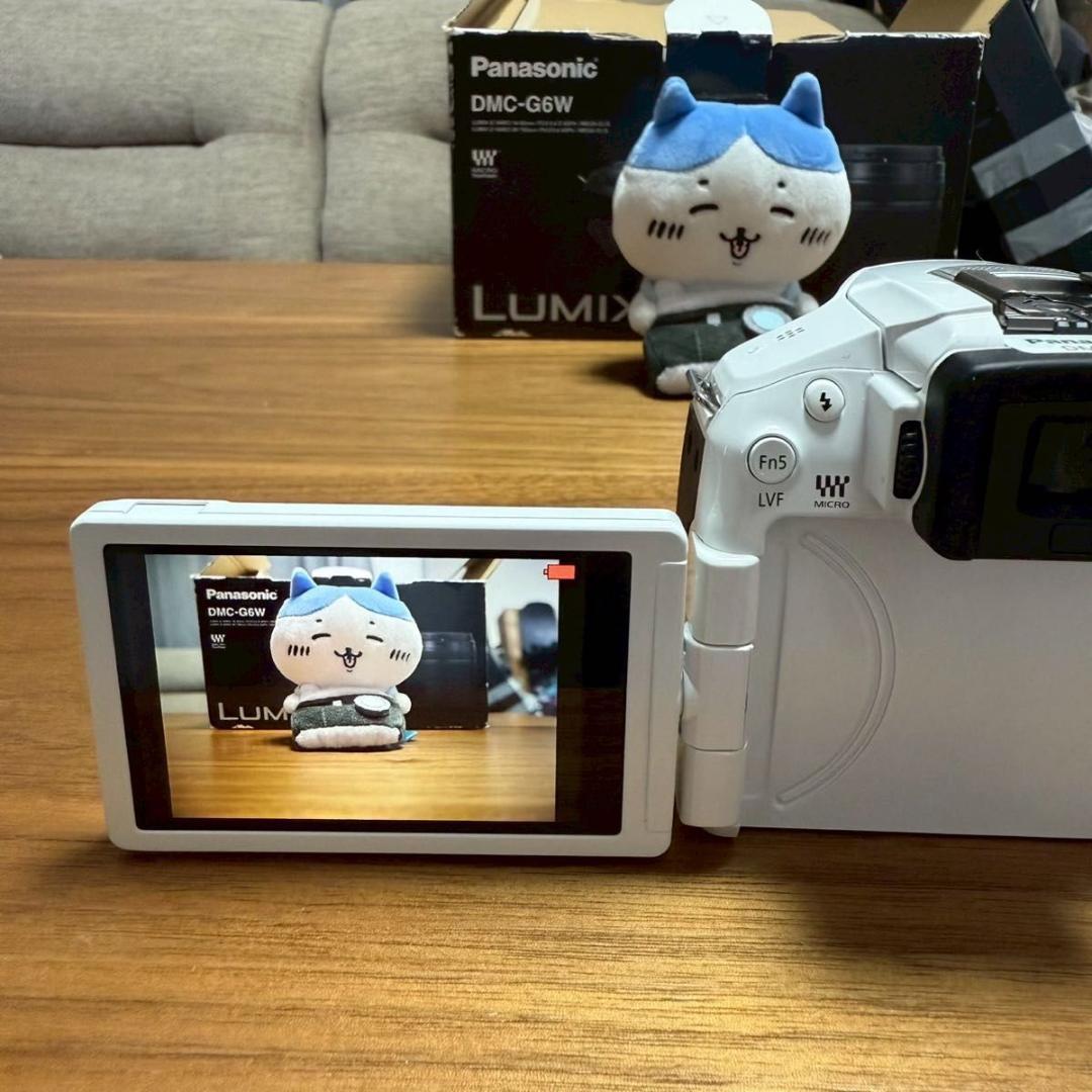 【極美品】パナソニック LUMIX DMC-G6W ダブルズームレンズキット