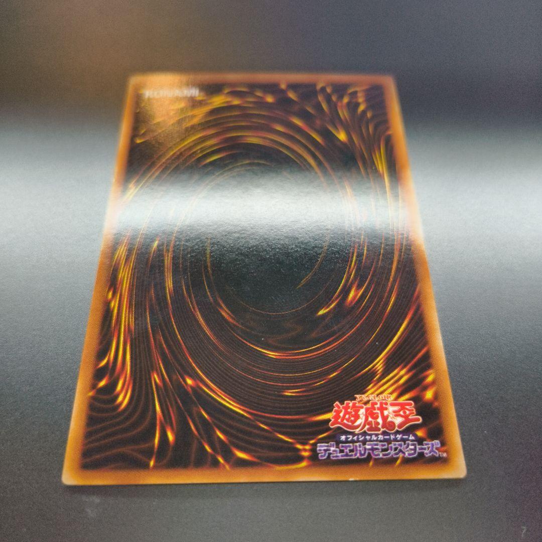 ドラゴンに乗るワイバーン