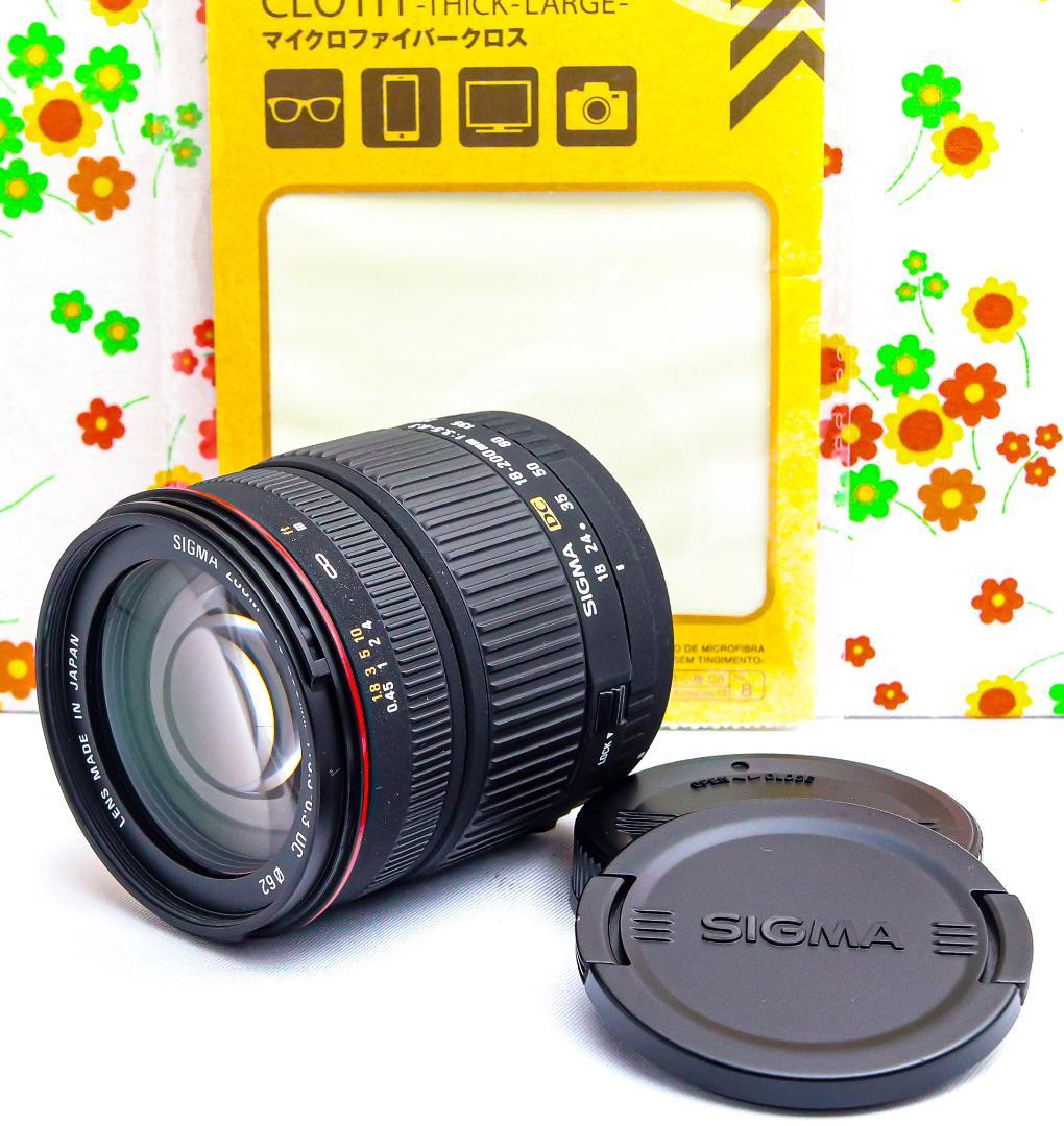 美品 シグマ SIGMA 18-200mm☆Canon用☆大人気ズームレンズ！