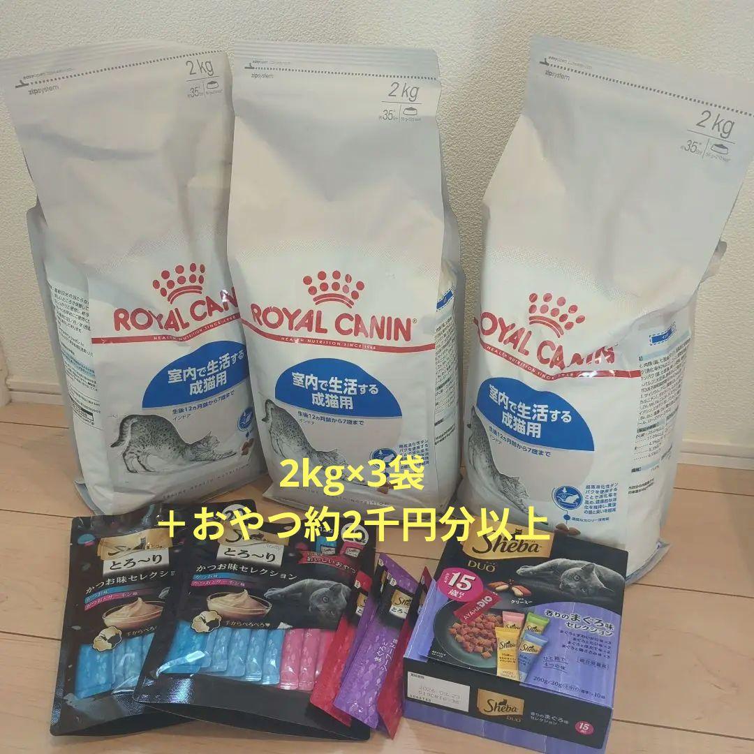 ロイヤルカナン室内成猫用2kg×3袋 おやつ付き 賞味期限26.6以降