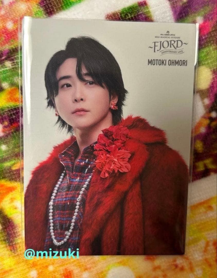 ききこ　ミセス　バベル　フィヨルド　フォトカ　11枚セット