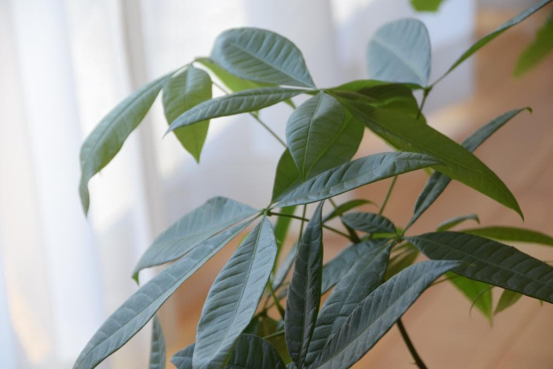 TAMRON 18-270mm Di Ⅱ VC PZD オールラウンドな望遠