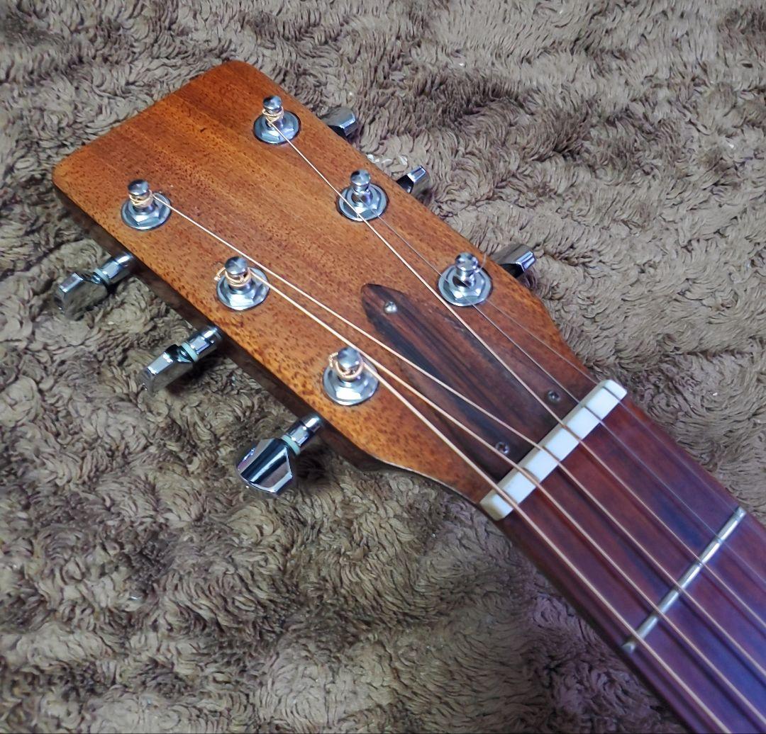 Takamine Elite TW-13 タカミネ エリートD-28 コピー