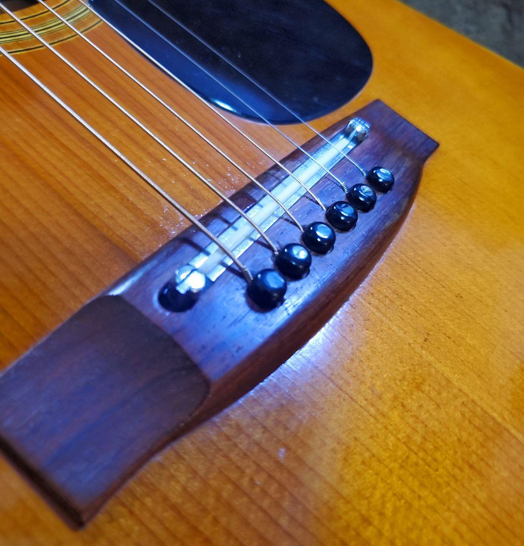 Takamine Elite TW-13 タカミネ エリートD-28 コピー
