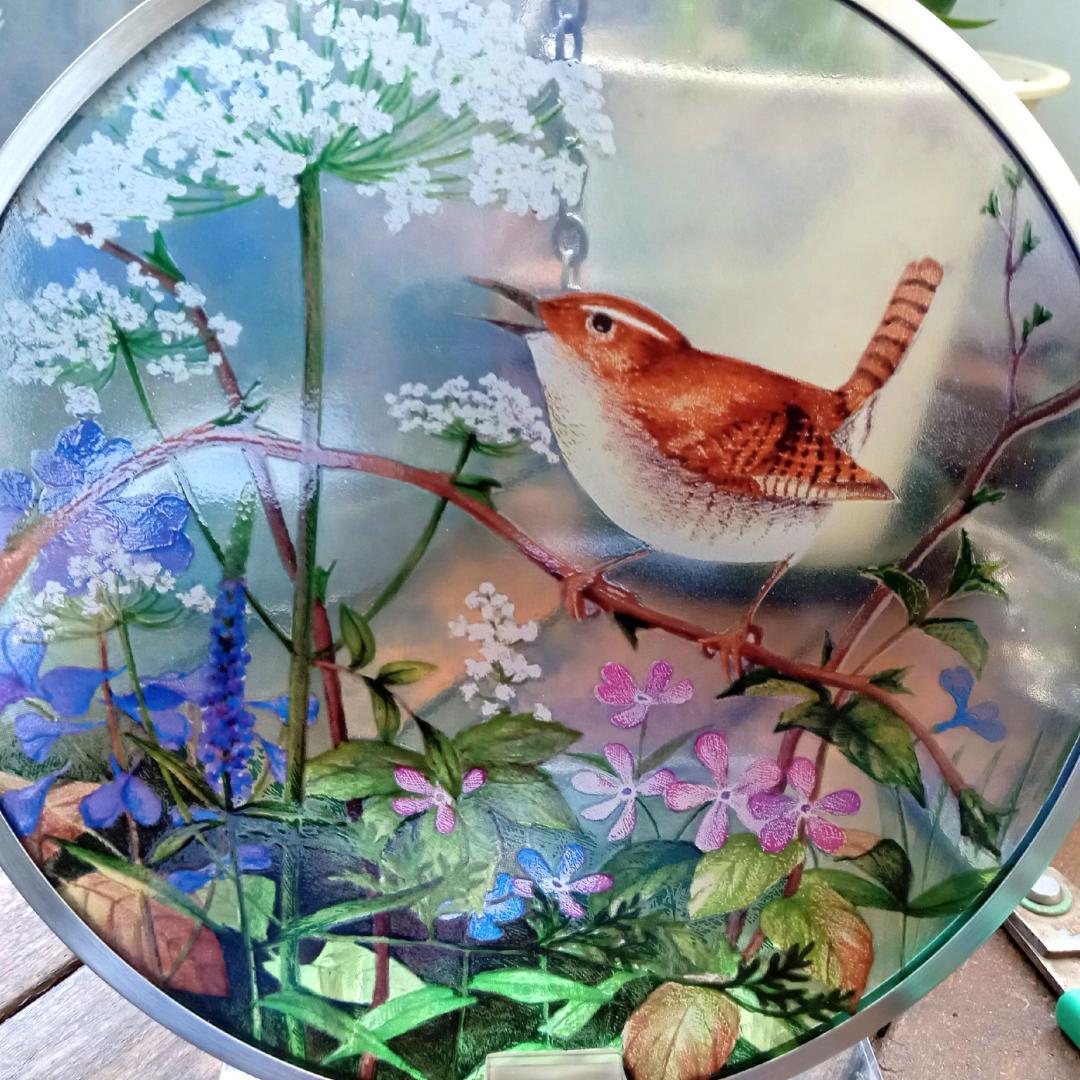 新品 花鳥・アメリカムシクイ スミレ サクラソウ カナダ・ステンドグラス社