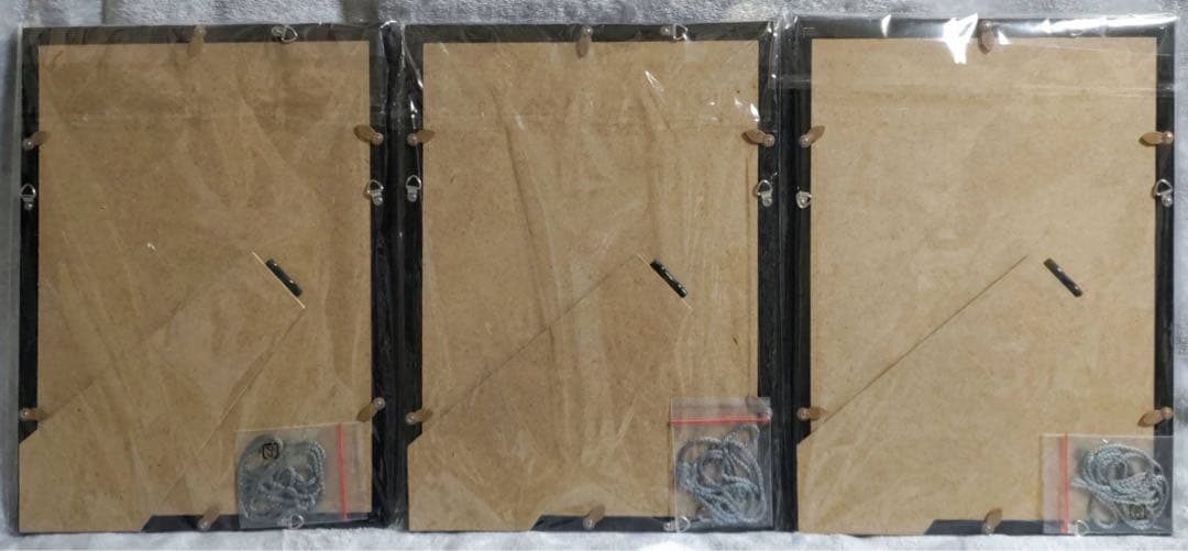 たまこてん２ 京都巡回展 星空鉄道とシロの旅 額付 サイン入り ミニアートグラフ