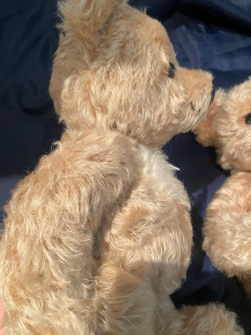 【別種】シュタイフ　テディベア　Paddy　　ぬいぐるみ　くま　パディ　セット