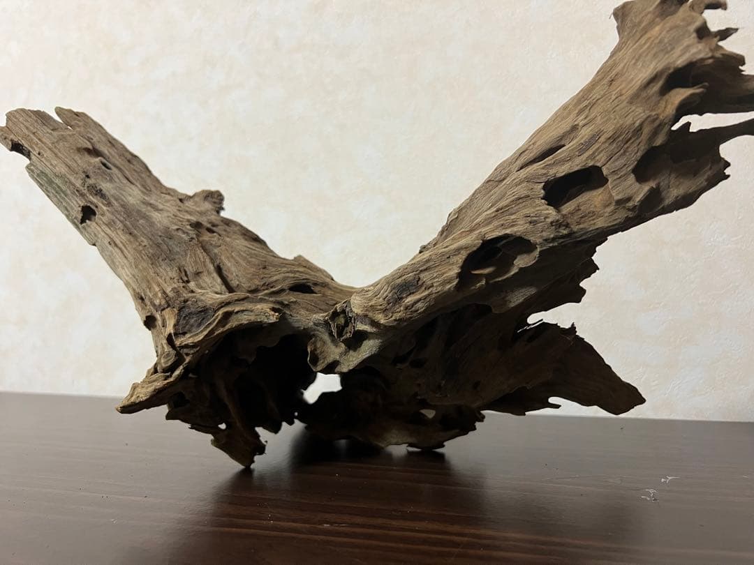 XM-197 流木　マシンガンウッド　アクアリウム　ブランチウッド　沈水確認済