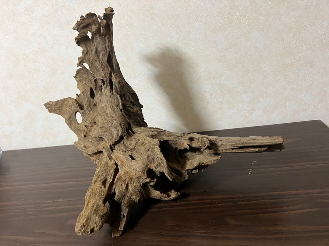 XM-197 流木　マシンガンウッド　アクアリウム　ブランチウッド　沈水確認済