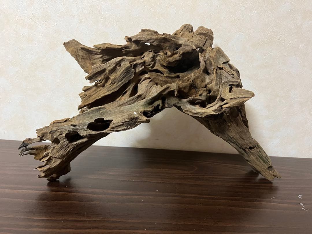 XM-197 流木　マシンガンウッド　アクアリウム　ブランチウッド　沈水確認済