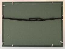 写真　アニマルトレーナー オルガ・セレステ プレスフォト