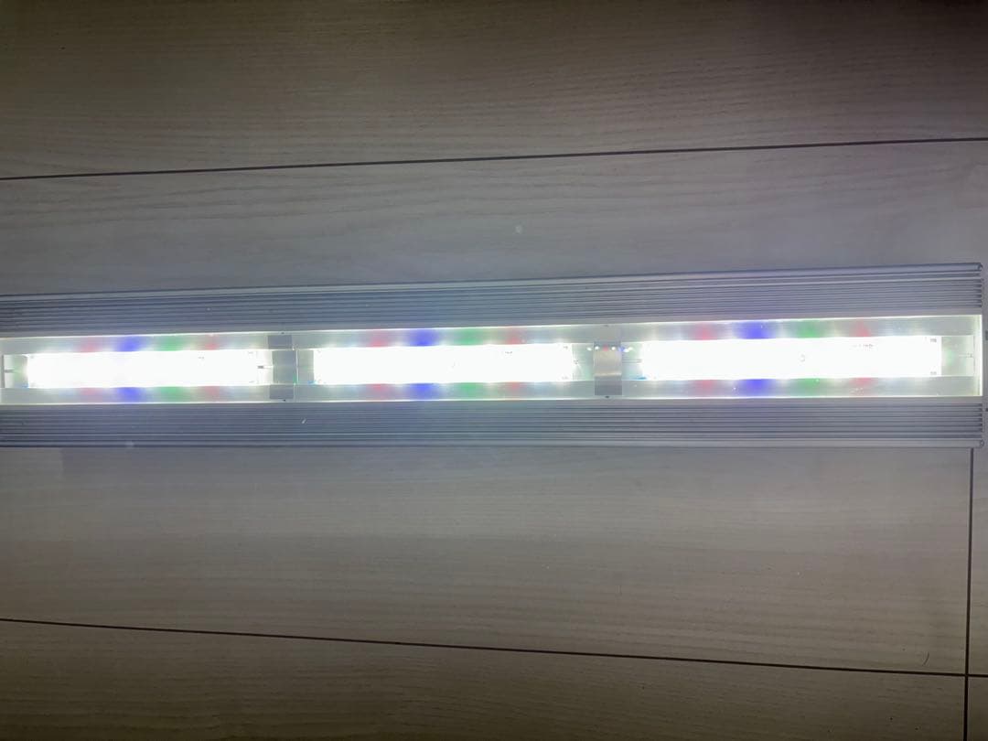 アクロ　トライアングル　グロウ 60センチ