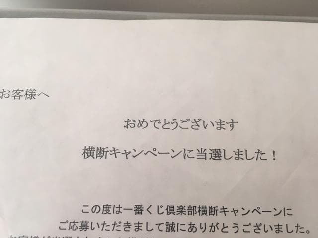 マクロスフロンティア花魁シェリル&舞妓ランカプレミアムフィギュア　2体セット