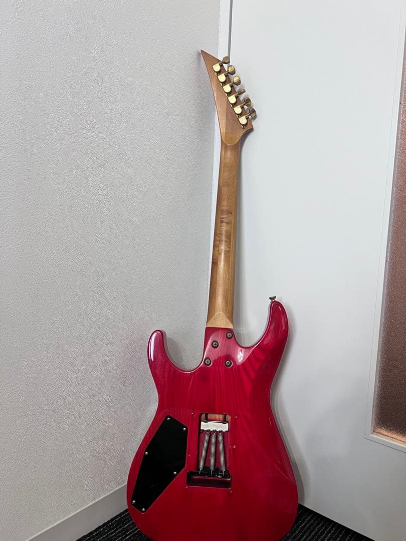 ギター ESP. Electric Guitar