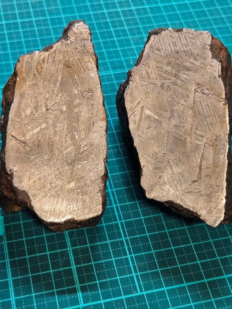 アルタイ隕石　鉄隕石　2870g